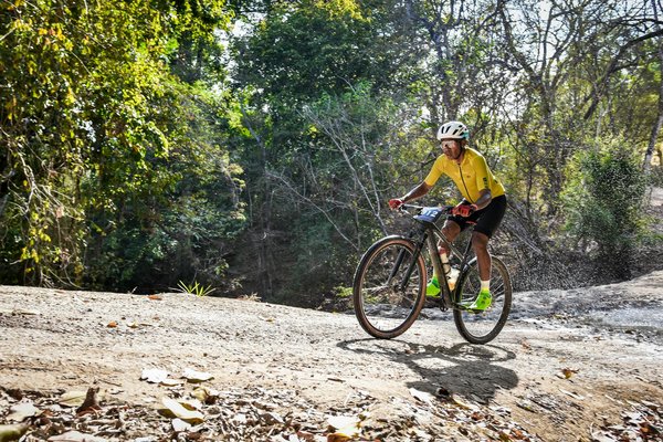 Comment devenir moniteur d'équitation