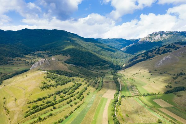 Les meilleurs combattants de MMA de tous les temps
