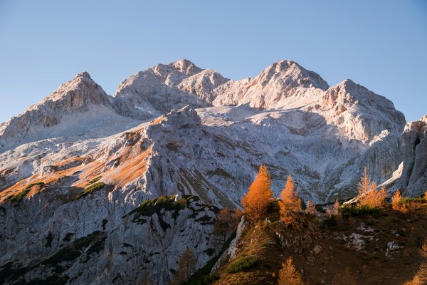 Acheter un vélo de route d'occasion : bons plans et pièges à éviter